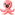 たこ