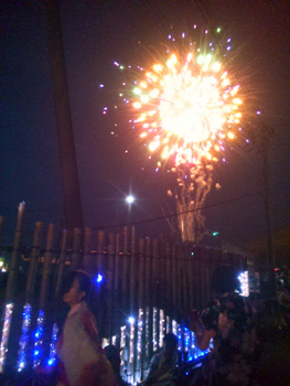 京たんば花火大会