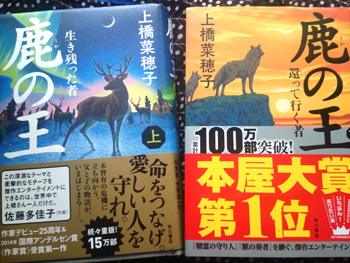 鹿の王 上橋奈穂子